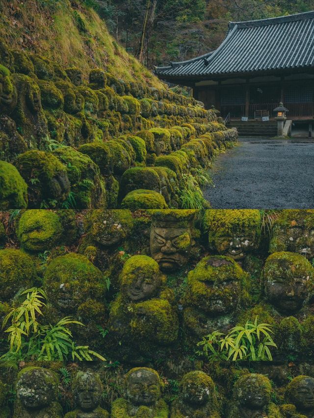 遍地表情包，這大概是京都最可愛的寺廟！