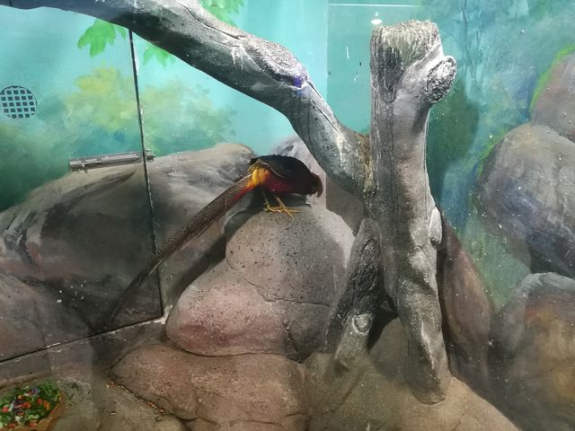 海邊的海洋世界