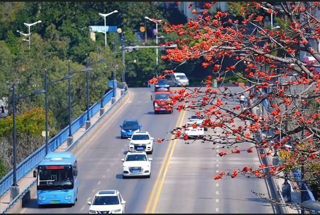 花是一座城，城是一朵花，全國唯一以花命名的城市！