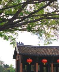版畫村遇上色彩斑斕的油菜花海，太美太夢幻