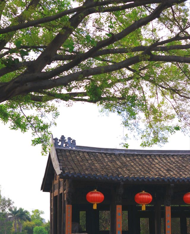版畫村遇上色彩斑斕的油菜花海，太美太夢幻