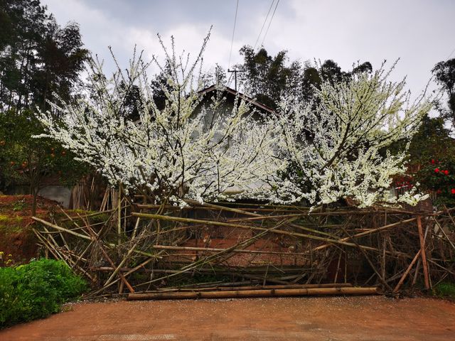 穿越自貢丹霞地貌（尖山、穿山洞、農團、飛龍峽）