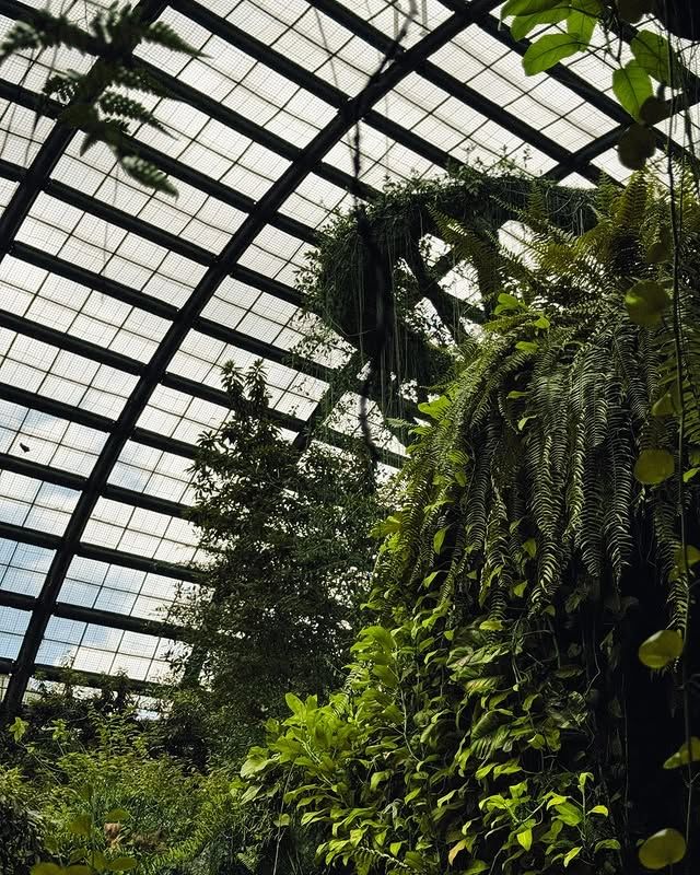 檳城蝴蝶公園—夢幻蝴蝶王國