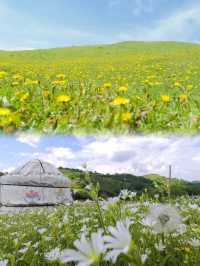 秦嶺無人區｜訪原始草原聖境，探秘“七層妖塔”