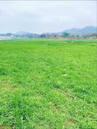 武漢本地遊之「鄱陽湖」，你確定週末不來看看嗎？