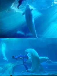 杭州都有海洋動物世界