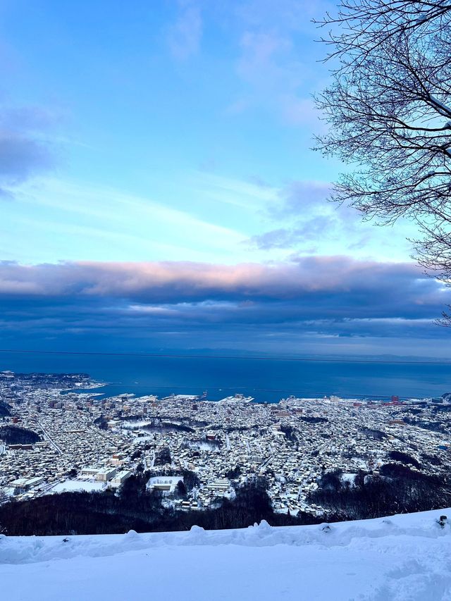 清明日本七天不重複旅行攻略