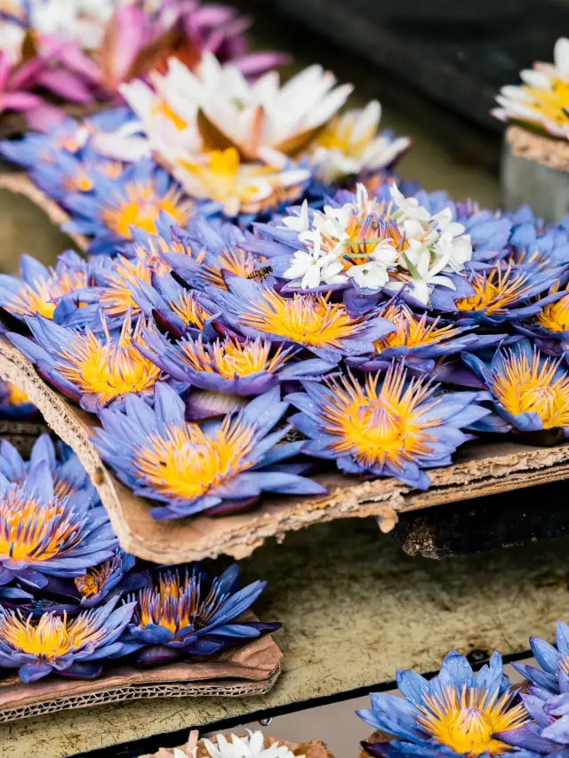 A Complete 7-Day Guide to Sri Lanka for the Qingming Festival Holiday