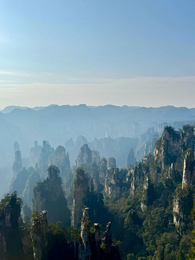 6天暢遊長沙-韶山-張家界 看這篇就夠別錯過