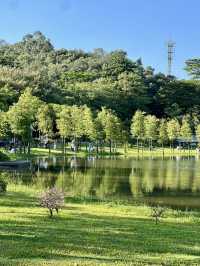 東莞植物園 帶你認識從未見過的各種各樣植物新生命