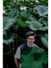 誤入荷花深處🪷杭州免費賞荷採摘地