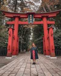 新潟 | 彌彥神社——越後國的靈魂聖地