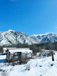 在春日裡去雪山撒歡