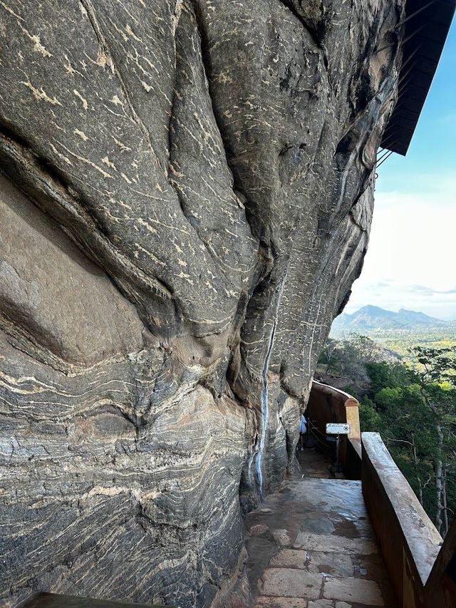 8日斯里蘭卡免簽證遊 輕鬆玩轉全島