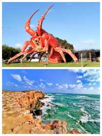 澳洲遺世明珠，羅布——你的夢幻旅行地