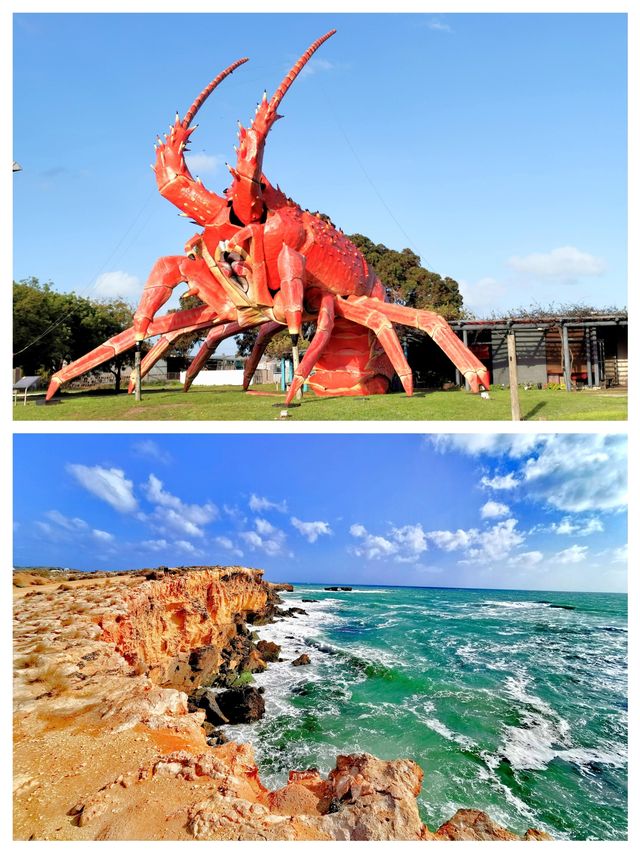 澳洲遺世明珠，羅布——你的夢幻旅行地