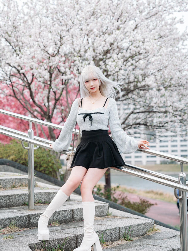東京櫻花拍攝聖地大公開🌸人少出片超絕