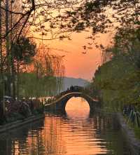 邂逅西湖：柳綠花繁間的浪漫踱步