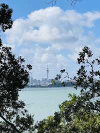 徒步考里角百年紀念公園 奧克蘭