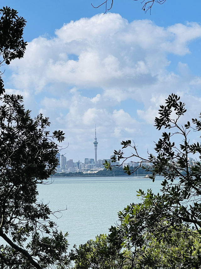 徒步考里角百年紀念公園 奧克蘭