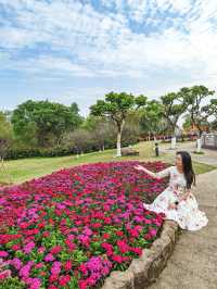 百花盛開嘅踏春之旅 喺蓮花山浪漫暢遊