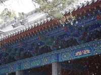 河南登封少林一日遊