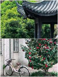 溧陽去咗5次，整理出來嘅攻略