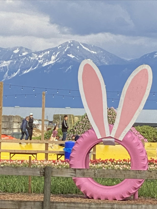 開滿鬱金香的主題樂園｜背景雪山是加分項