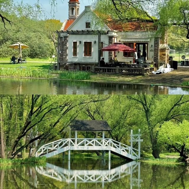 共青森林公園 現實版莫奈花園攻略來啦