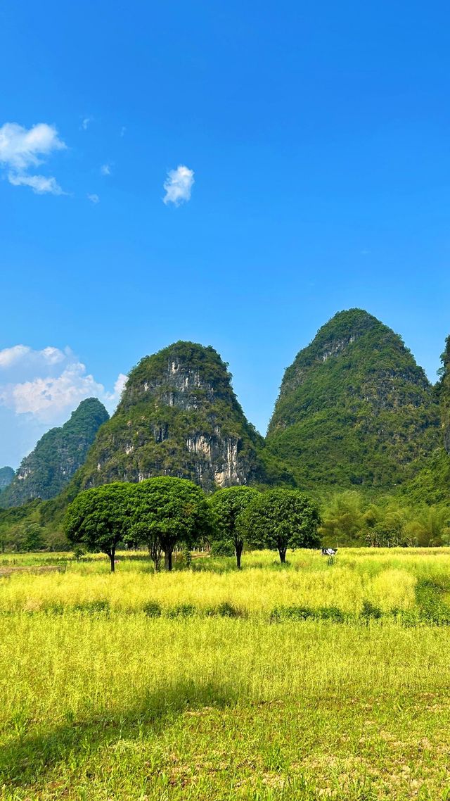桂林陽朔：水墨漓江的詩意棲居，喀斯特地貌的千年吟唱