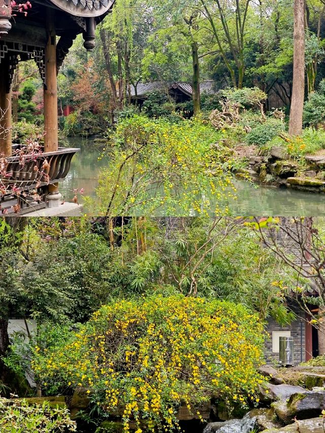 成都受罪已回，真不建議5月份來了