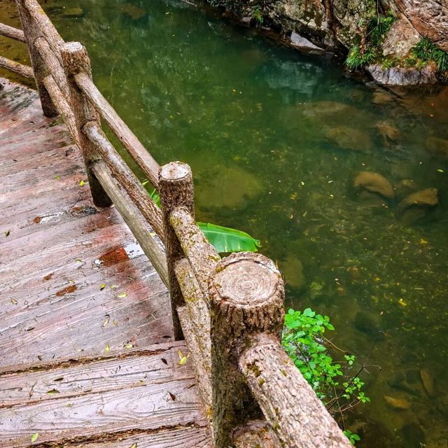 廣州週邊｜闖入綠野仙蹤！石門森林國家公園🌿