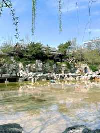 邂逅浪漫花海，濰坊人民公園春日限定
