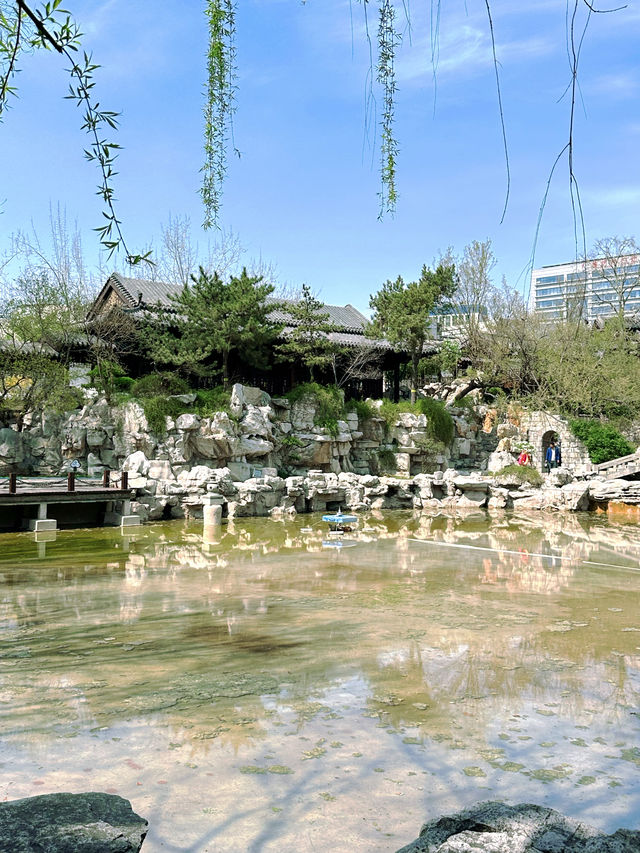 邂逅浪漫花海，濰坊人民公園春日限定