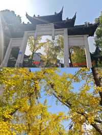 龍潭水鄉