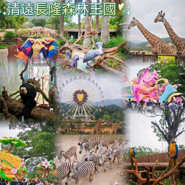 置身非洲大草原的動物王國