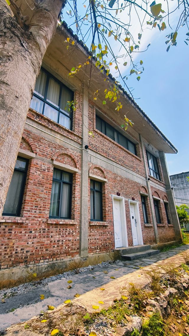 舒服到我愛上了這裡