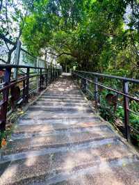 ⛰️ 🐘 Elephant Mountain Views in Taipei