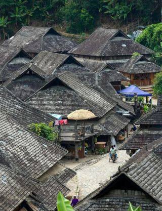 Wow! Everyone, I'm here to reveal a hidden gem in Yunnan—Jingmai Mountain!
