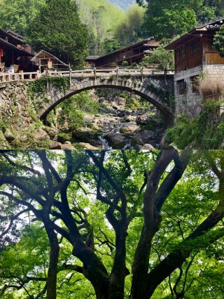 Zhejiang's Hidden Fairyland: An Underrated Oxygen Oasis, Not Jiuzhaigou