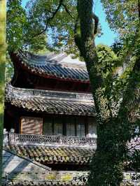穿越600年打卡中國最古老嘅私家藏書樓