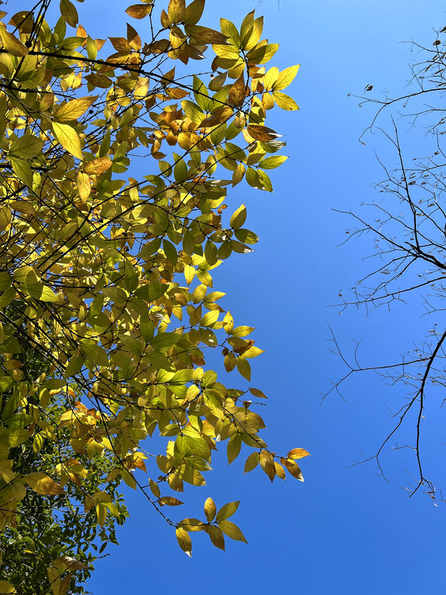 烏篷搖夢·祊畔台門