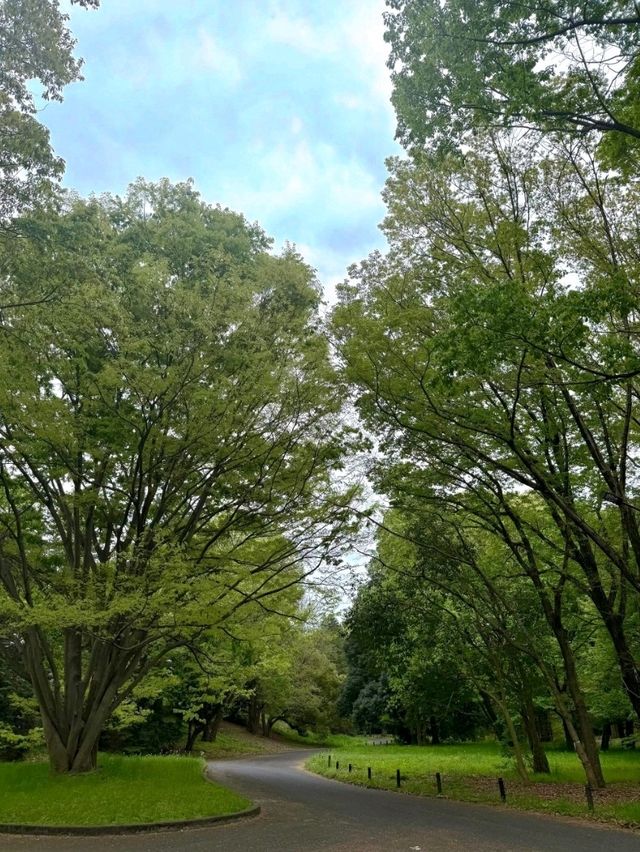 東京昭和紀念公園交通攻略：輕鬆抵達四季花海勝地