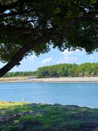 東京葛西臨海公園交通攻略：邂逅灰藍調的愜意時光