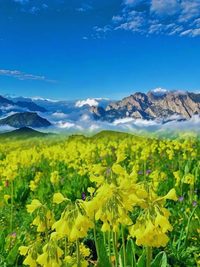 川西嘅天花板 唔使講都係九頂山