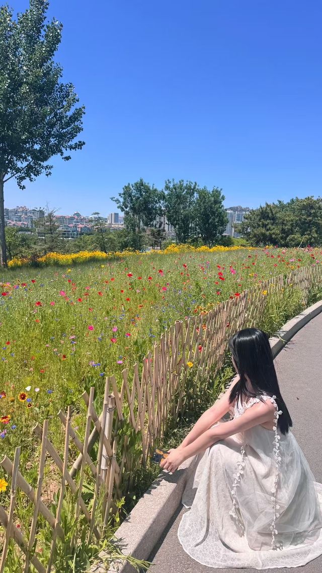 青島市燕兒島路