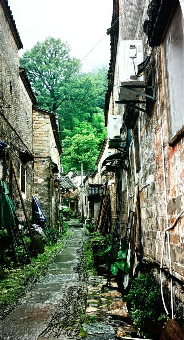 景德鎮瑤里同陶陽里御窯博物館自駕遊