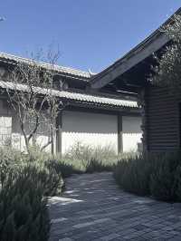 神仙託兒所！喺雪山腳下遇見童話結界