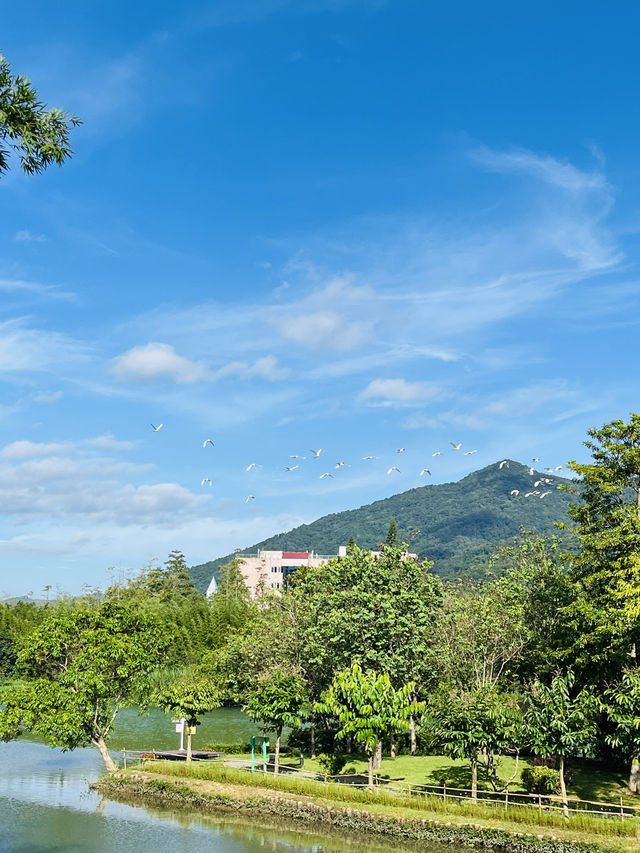 隱於山水，歸於詩意！從化版有風嘅地方……