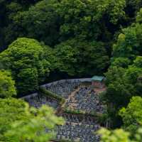 大阪Forest park森林公園🌲！都市綠肺秘境全攻略，吸氧放鬆必衝！